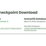 База данных блокчейна Chia в Torrent формате доступна для скачивания и будет публиковаться ежеквартально